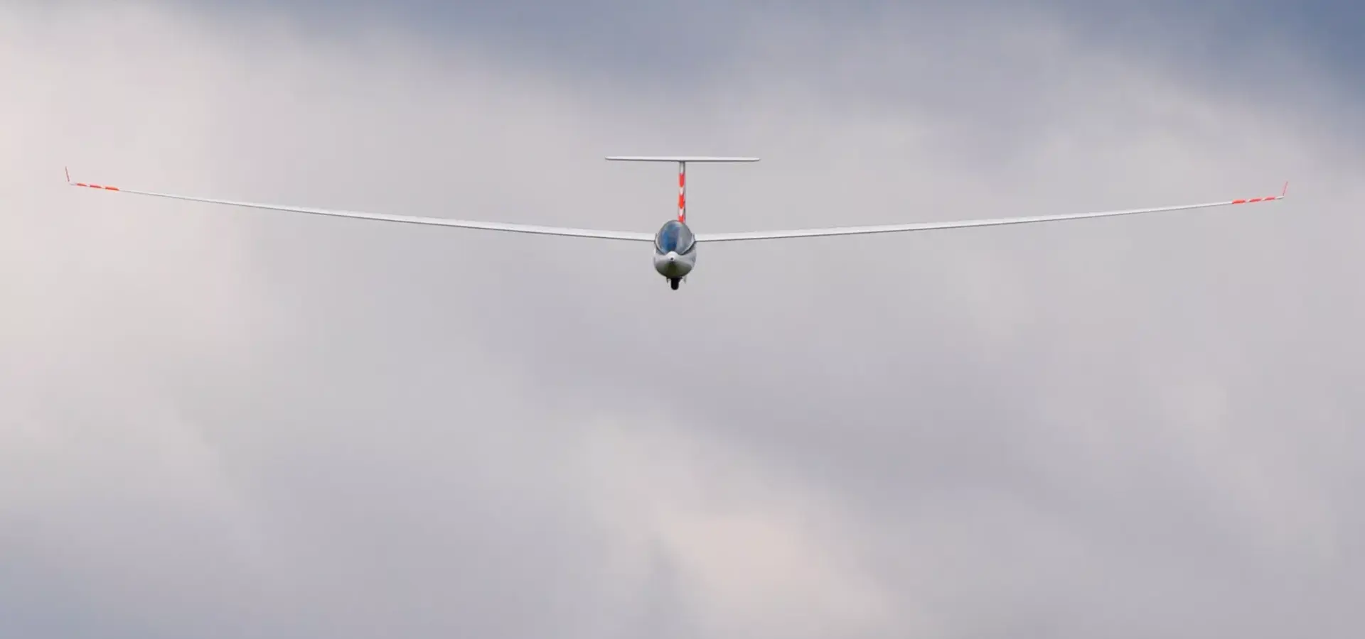 SFG Backnang